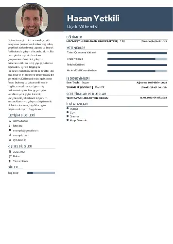 Havacılık Ve Uzay Uçak Mühendisi Cv Örnekleri cv indir